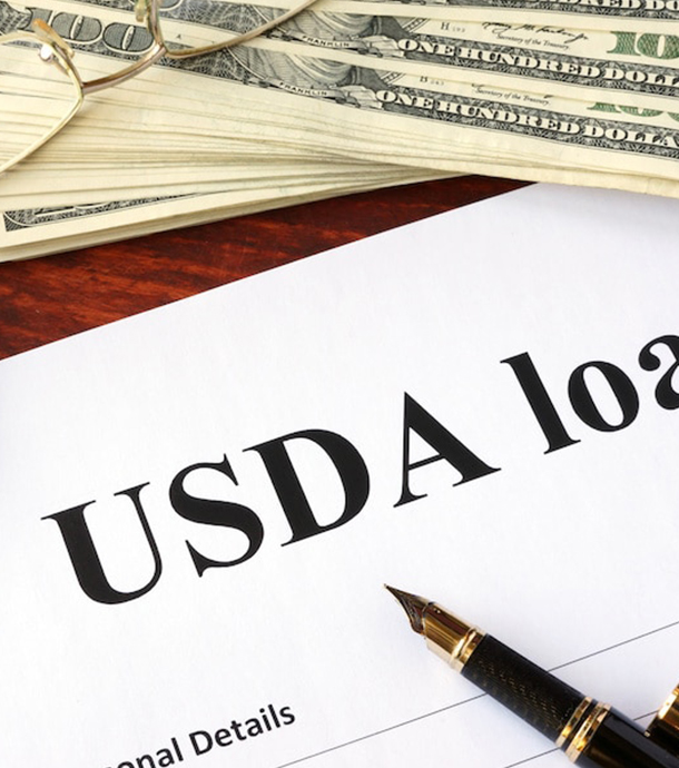 Loan advisor explaining USDA mortgage benefits to couple across modern conference table